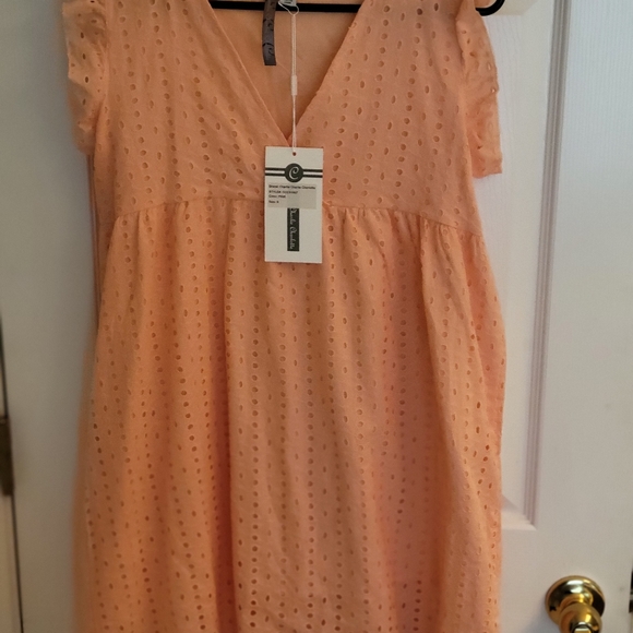 Coral Pointelle Shift Dress - Picture 2 of 4
